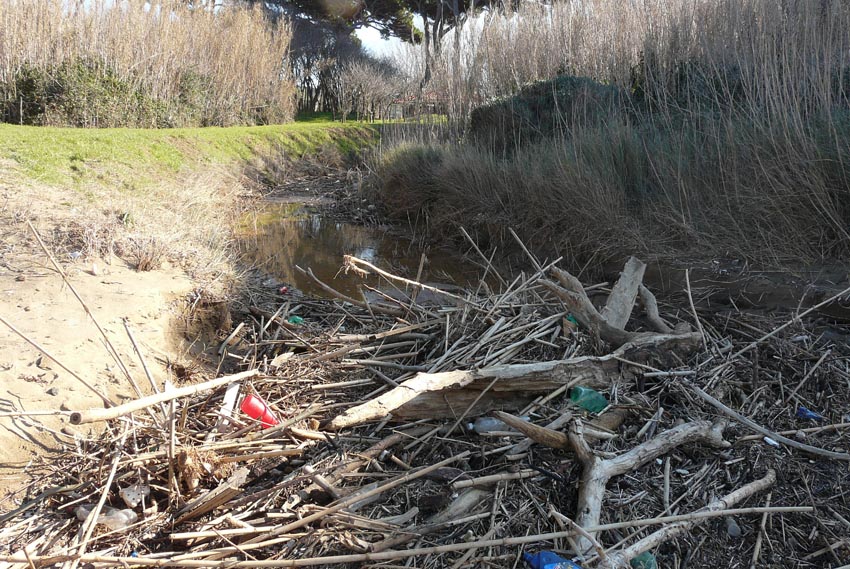 I fossi e lo stagno di Baratti (Piombino - LI)